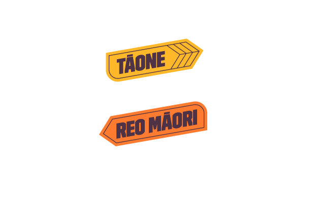 Pīwakawaka - Tāone Reo Māori
