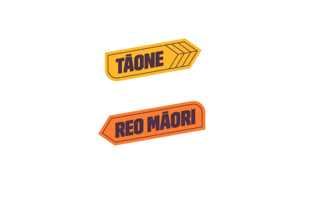 Te Anau - Tāone Reo Māori
