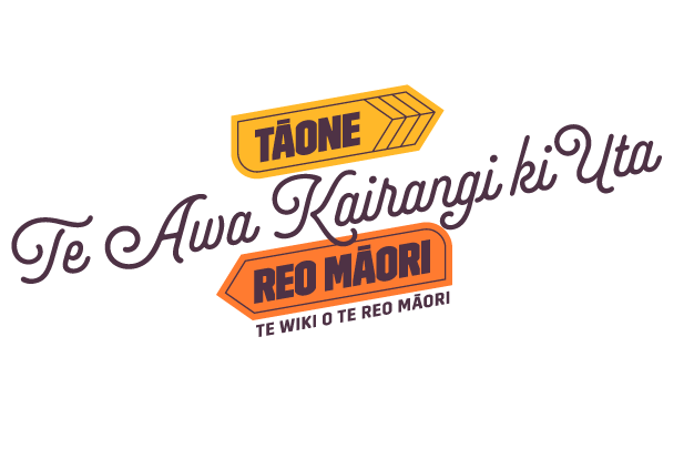 Te Awa Kairangi ki Uta - Tāone Reo Māori