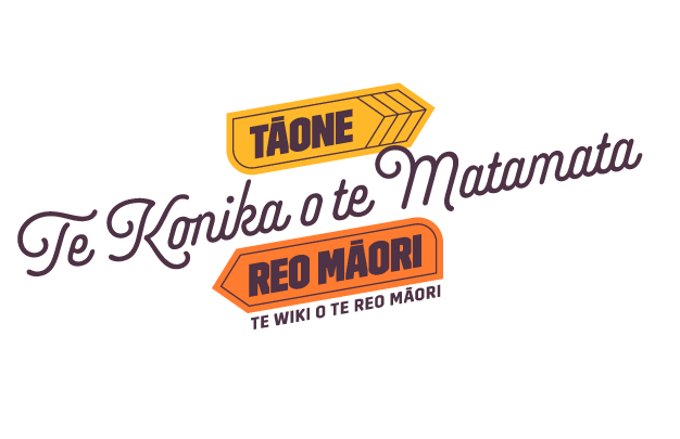 Te Konika o te Matamata - Tāone Reo Māori
