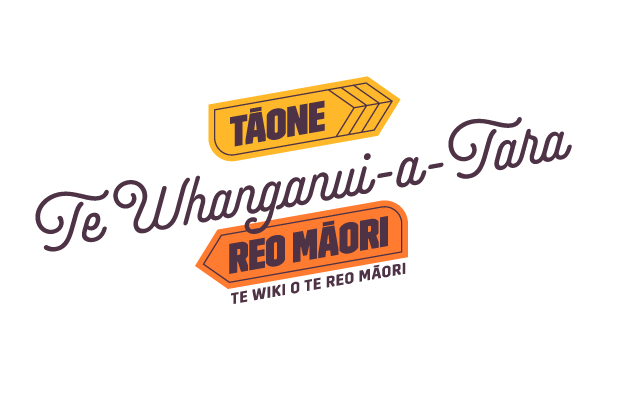 Te Whanganui-a-Tara - Tāone Reo Māori
