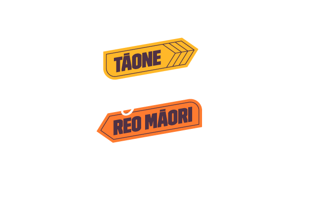 Te Whanganui-a-Tara - Tāone Reo Māori
